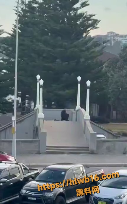 澳大利亚悉尼邦迪海滩 惊现恐袭 父子枪手致15死数十伤 光明节庆典变血腥屠杀！