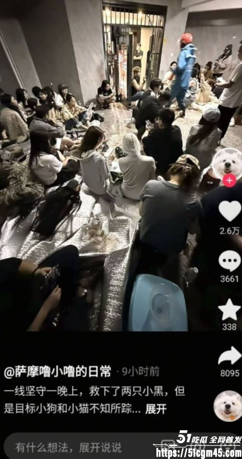 重庆山姆打包哥李萌领养小狗虐杀致死 12