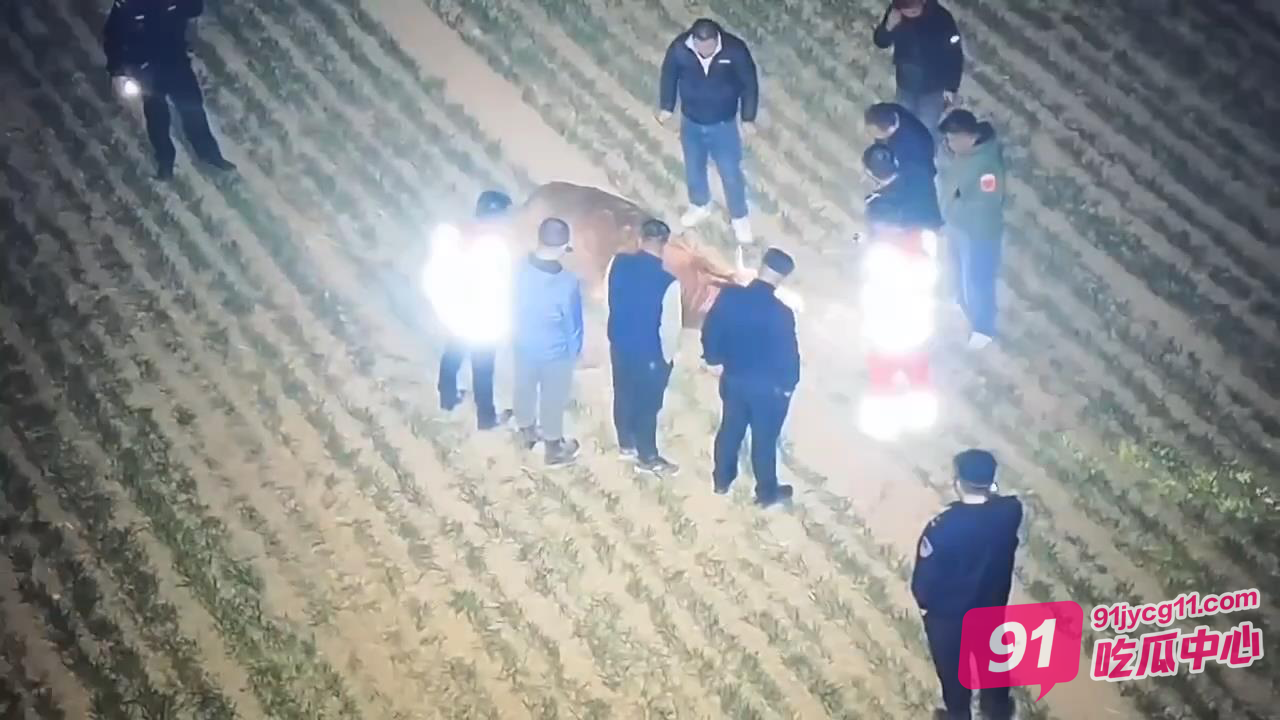 济南“疯牛”受刺激袭击村民！民警被逼无奈掏枪击毙！ 配图3