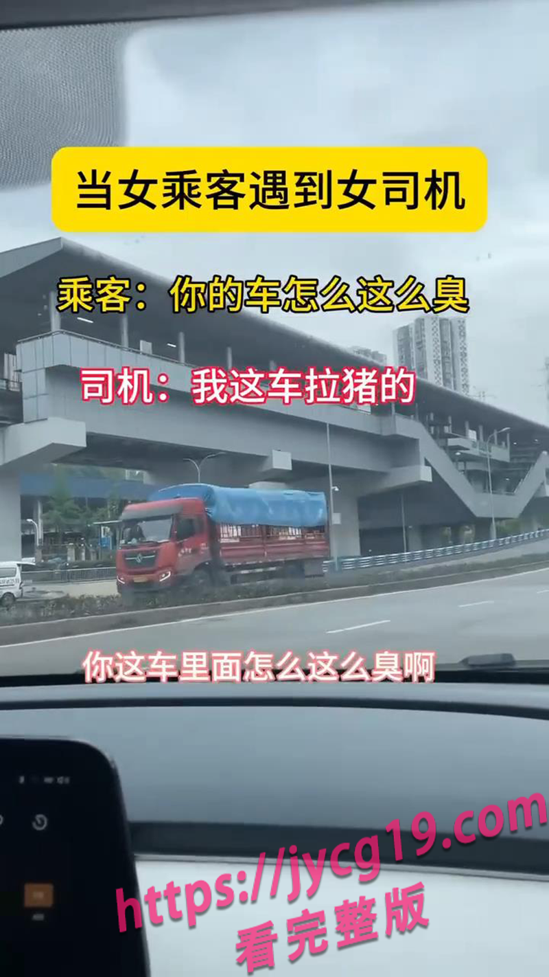 女乘客指定女司机 结果把女司机送进了情绪屋 配图2