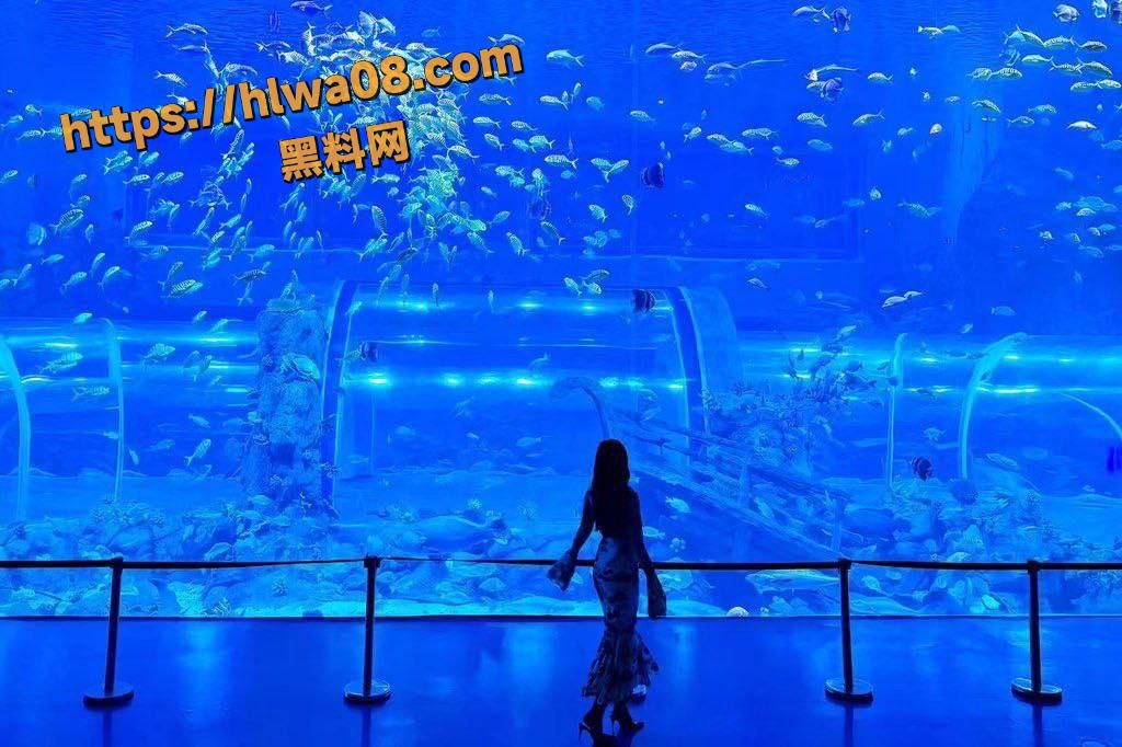 推特萝莉 May8ww 大尺度私拍流出 揉奶抠逼道具自慰 被金主后入爆操高潮！
