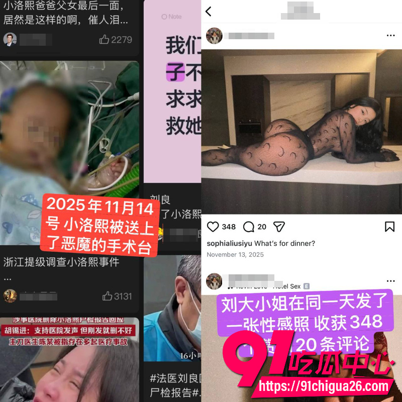 小洛熙惨案背后黑手大曝光13