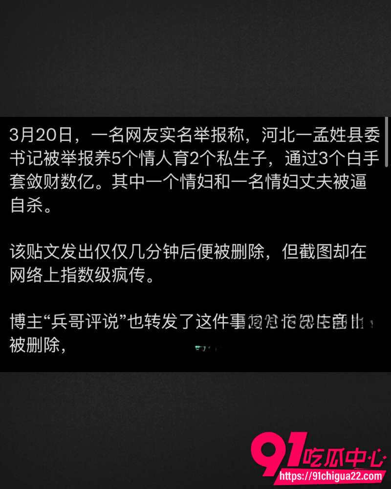 河北临西县委书记孟宪鹏遭实名举报 13